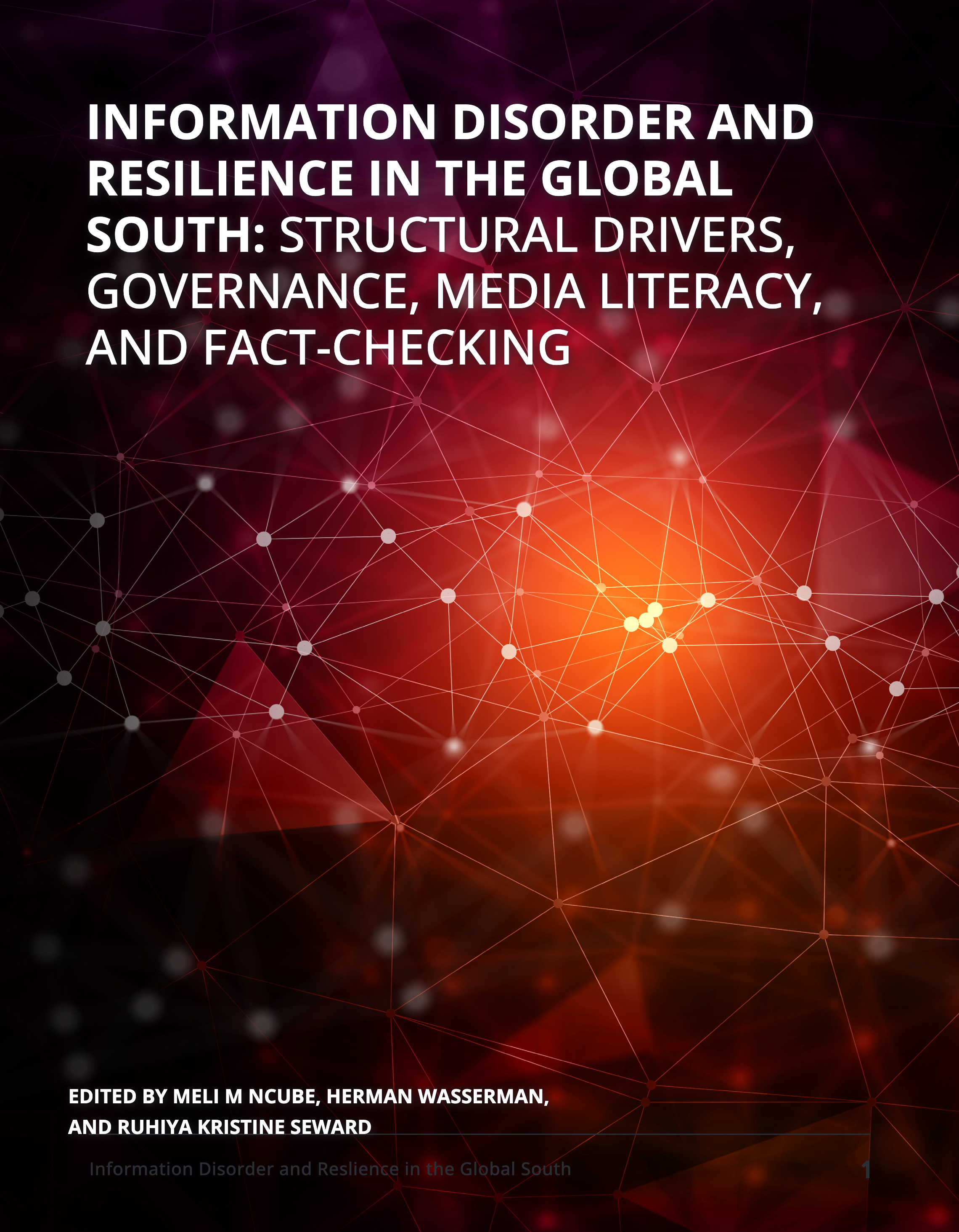 Information Disorder and Resilience in the Global South